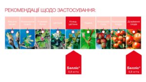 Рекомендації щодо застосування