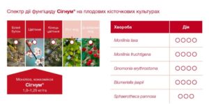 Спектр дії фунгіциду Cігнум® на плодових кісточкових культурах