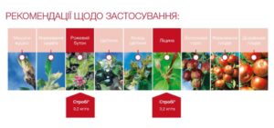 Рекомендації щодо застосування Стробі®