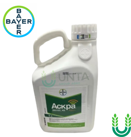 Фунгіцид Аскра Хпро, 5 л Bayer
