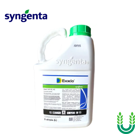 Інсектицид Енжіо, 5 л Syngenta