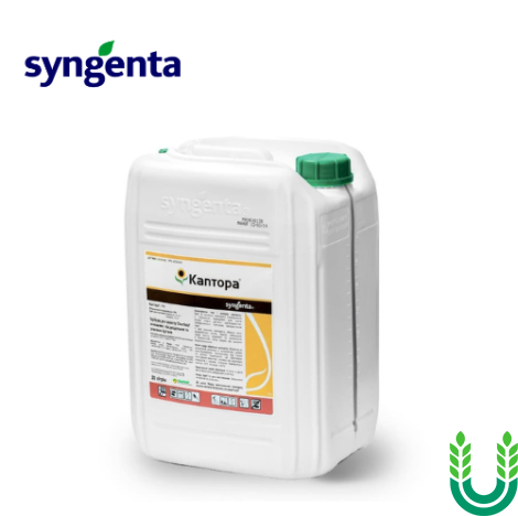 Гербіцид Каптора, 20 л Syngenta