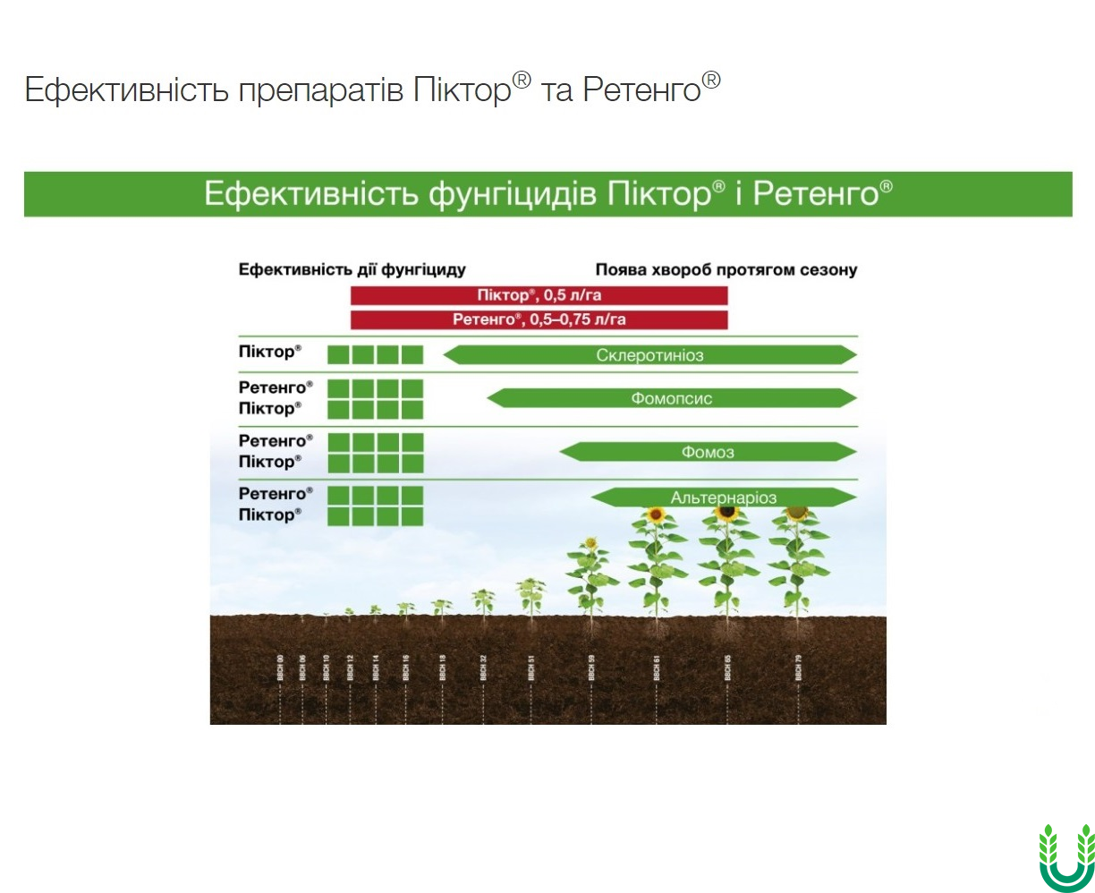 Ретенго 1