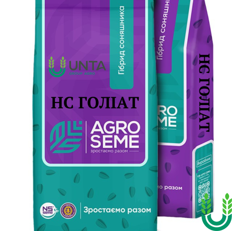 Насіння соняшнику НС ГОЛІАТ, CL