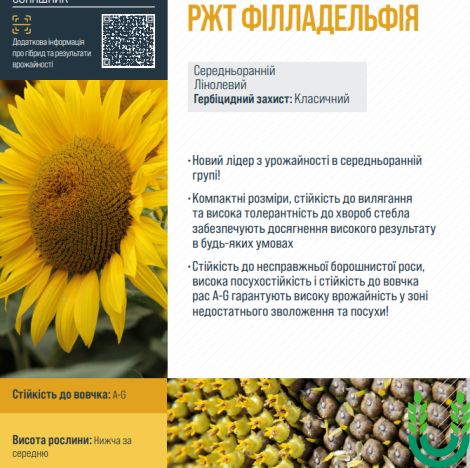 Соняшник РЖТ ФІЛЛАДЕЛЬФІЯ
