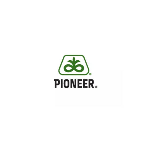 Pioneer